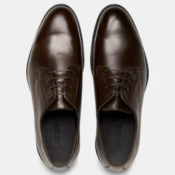 98800 Derby Sko, Mørkebrun, 44