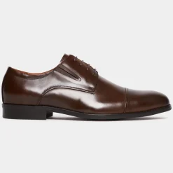 1010 Derbysko, Brun, 45