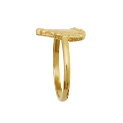 Abra Ring, Gold Plated, 57