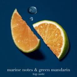 Acqua Di Giò Profondo Eau De Parfum, 100 ml