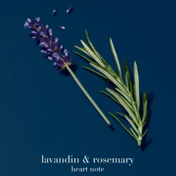 Acqua Di Giò Profondo Eau De Parfum, 100 ml