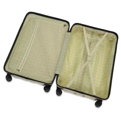 Andy Kuffert, Champagne