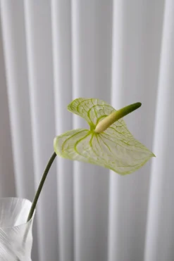 Anthurium Kunstig Blomst, Green