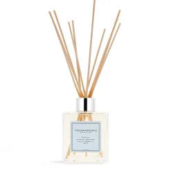 Aroma Therapy Room Diffuser, No 13