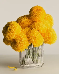 Bernadotte Oval Vase, Klar