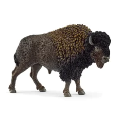 Bison