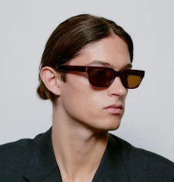 Bror Solbriller, Brown/Demi Light Brown Transparent