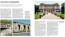 Champagne Wine Of Kings And the King of Wines