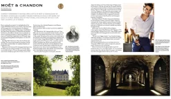 Champagne Wine Of Kings And the King of Wines