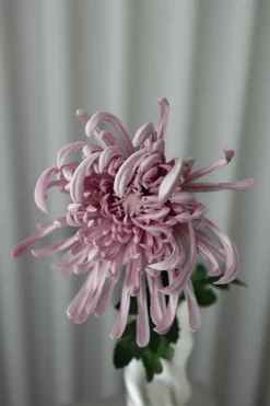 Chrysanthemum Kunstig Blomst, Purple