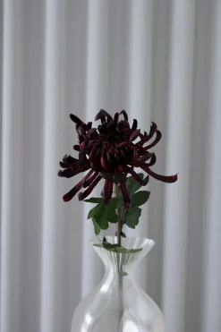 Chrysanthemum Kunstig Blomst, Bordeaux