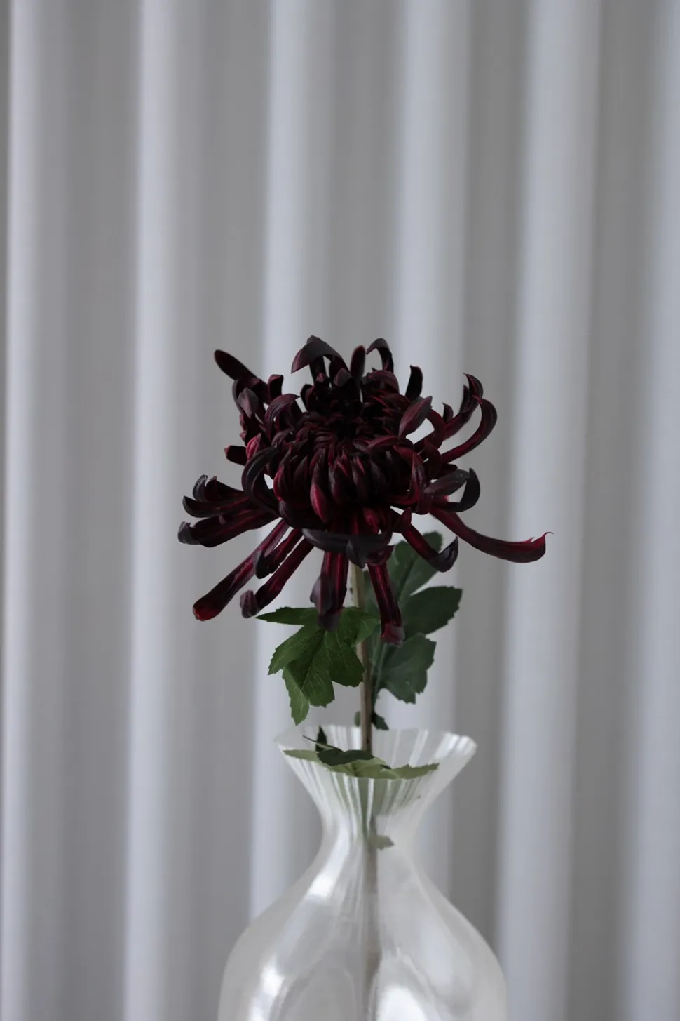 Chrysanthemum Kunstig Blomst, Bordeaux