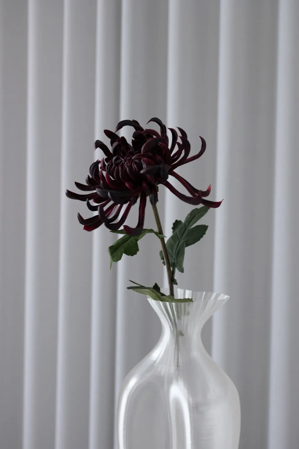 Chrysanthemum Kunstig Blomst, Bordeaux