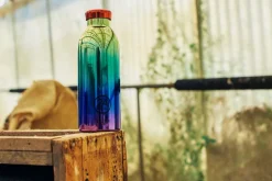 Clima Termoflaske, Skybeau, 500 ml