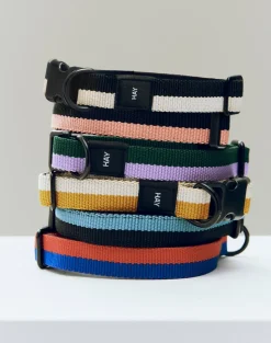 Dog Flat Hundehalsbånd, Blue/Black