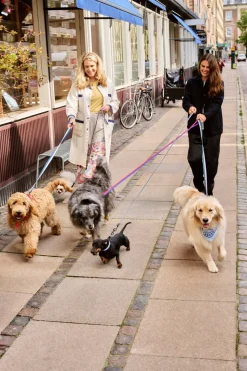 Dog Flat Hundehalsbånd, Blue/Off White