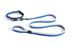Dog Flat Hundesnor, Blue/Off White