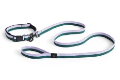 Dog Flat Hundesnor, Lavender/Green