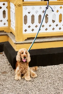 Dog Flat Hundesnor, Lavender/Green