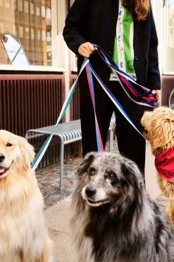 Dog Flat Hundesnor, Lavender/Green