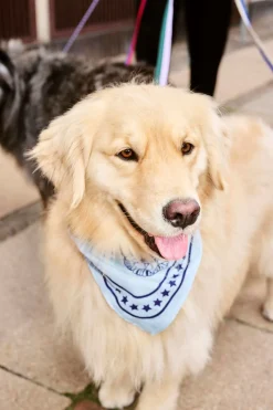 Dog Hundetørklæde, Light Blue