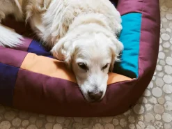 Dog Large Hundeseng, Burgundy/Green