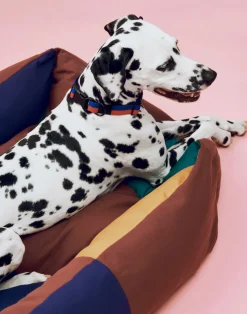 Dog Medium Hundeseng, Multi