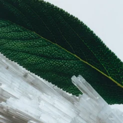 Duftpinde, Wood Sage & Sea Salt