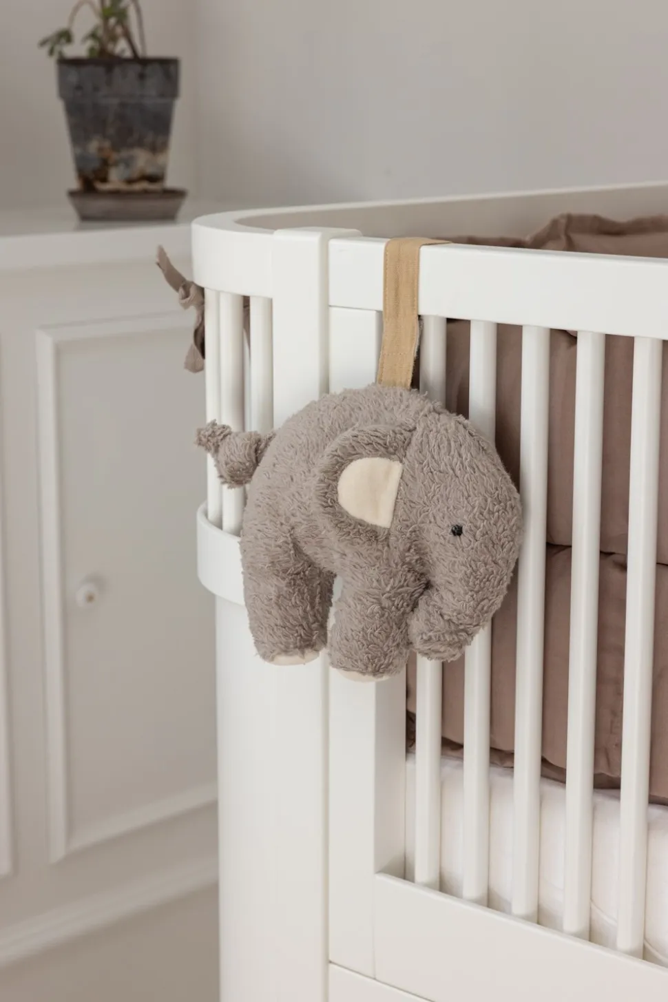 Fanto Musikuro, Grå