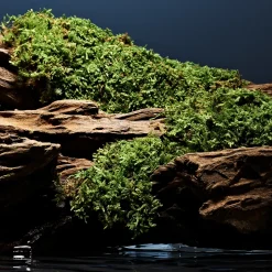 Fierce Deostick, 73 g