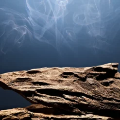 Fierce Deostick, 73 g