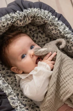 Finley Nusseklud, Grå