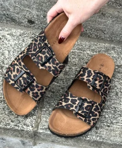 Fiona Sandaler, Leopard, 42