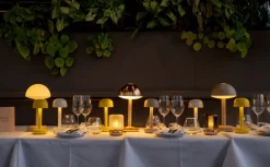 Firefly Bordlampe, Bronze/Frosted