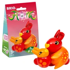 Flora Zinnia & Peach