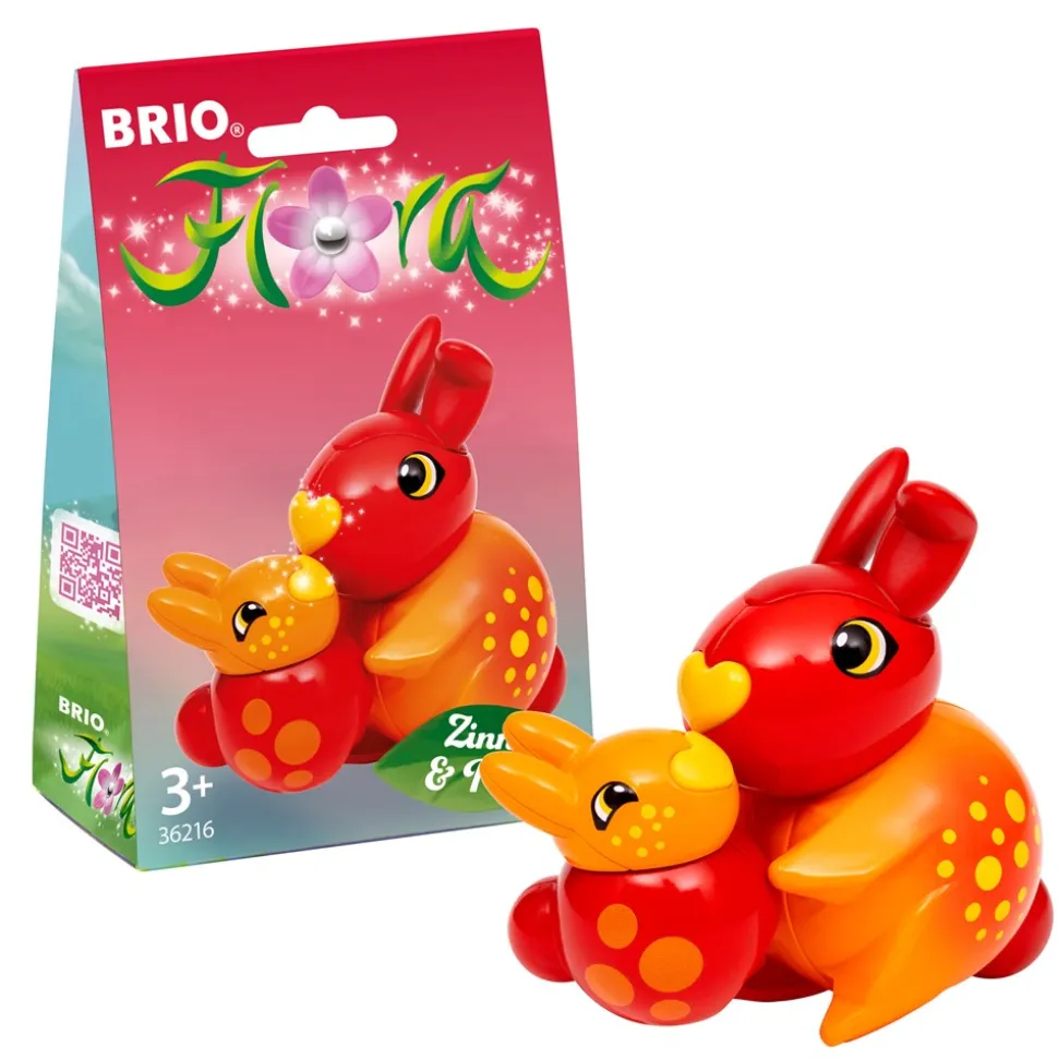 Flora Zinnia & Peach