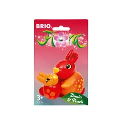 Flora Zinnia & Peach