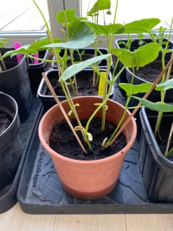 Footwear Skobakke, Black, 28x38 cm