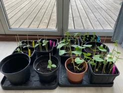 Footwear Skobakke, Black, 28x38 cm