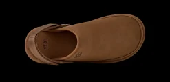 Goldencoast II Clogs, Dark Chestnut, 46