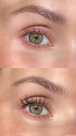 Grand Danois Mascara, Black