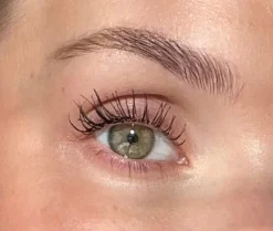 Grand Danois Mascara, Black