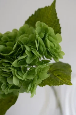 Hortensia Kunstig Blomst, Green