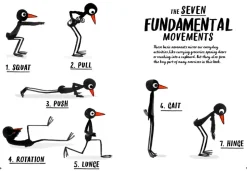 How To Be A Fit Bird