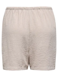 Lion Shorts, Chateau Gray, L