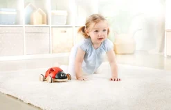 Mariehøne Puttekasse