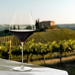 Notes Bourgogne 2-pak Vinglas, Klar, 94 cl