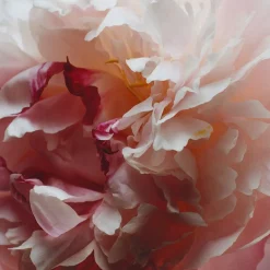 Peony & Blush Suede Cologne, 10 ml