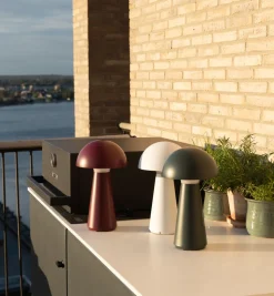 Sam Bordlampe, Bordeux