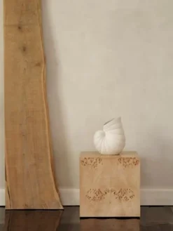 Shell Vase, Off-White